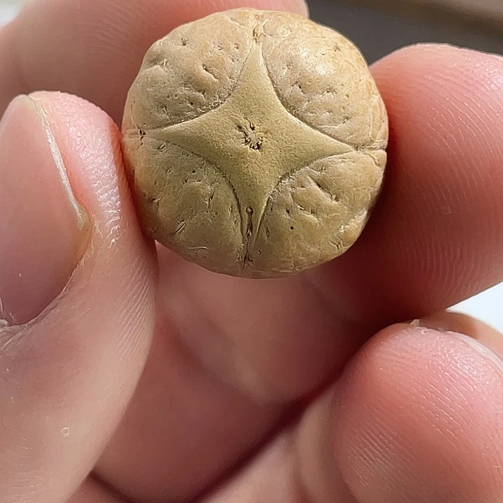 炎***焱吊坠凤眼菩提尼泊尔小凤眼