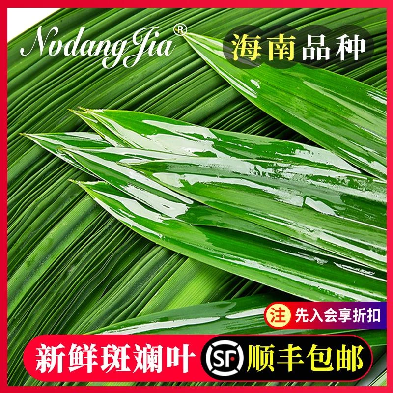 海南斑斓叶新鲜食用香兰叶千层蛋糕原料