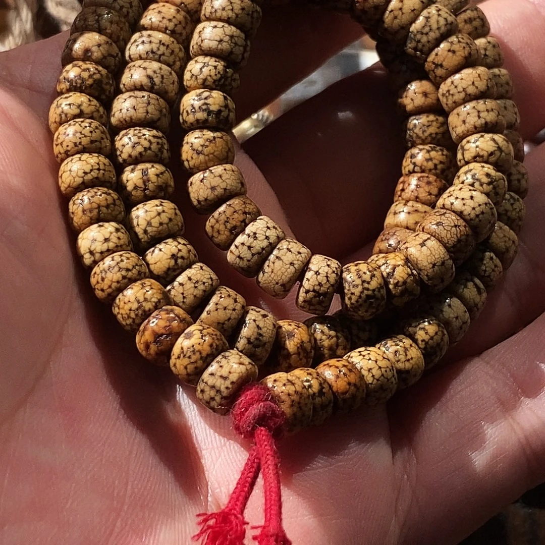 星月菩提吊坠老星月菩提奶白大收缩