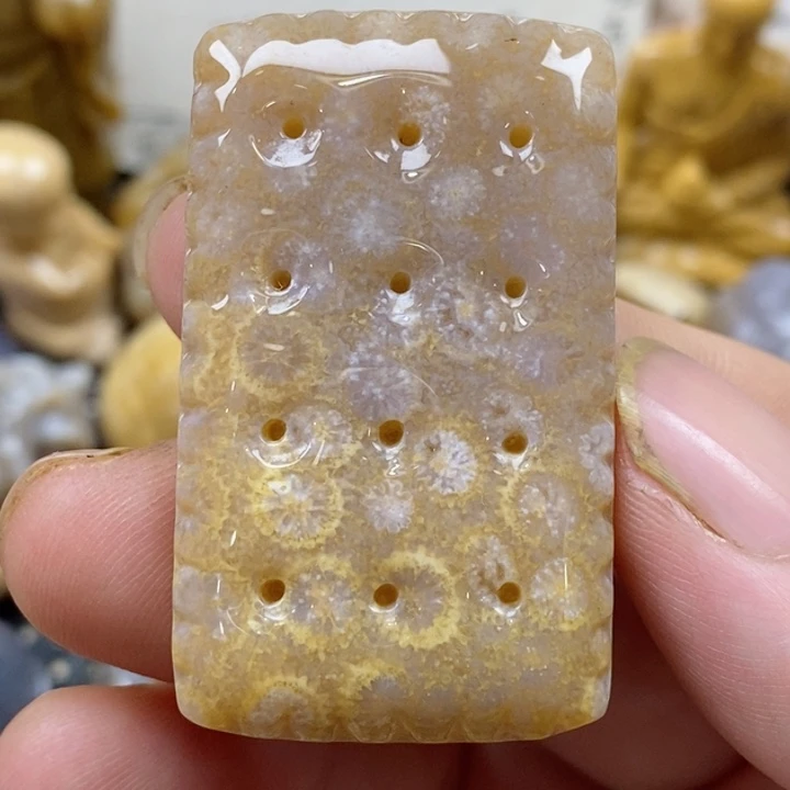 颈饰未镶嵌硅化珊瑚（珊瑚玉）