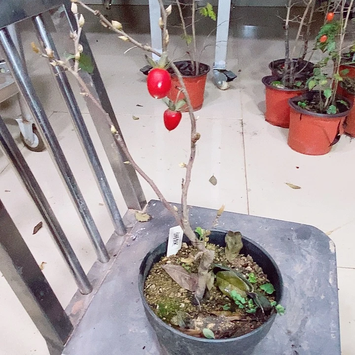 x***u完全开放哈哈哈哈哈哈哈