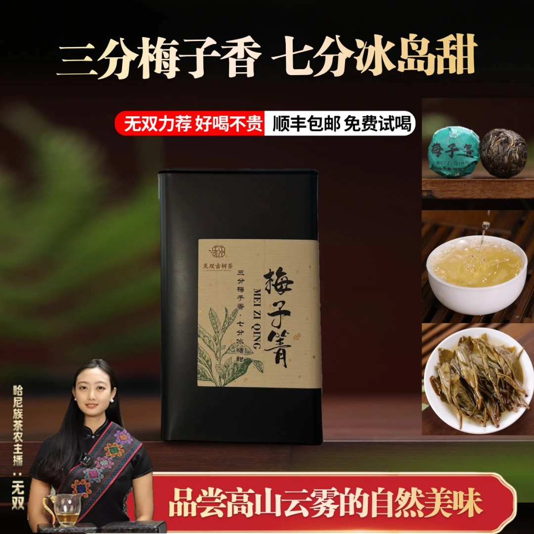 2024年 梅子箐 普洱茶 生茶 龙珠【三分梅子香，七分冰糖甜】30粒