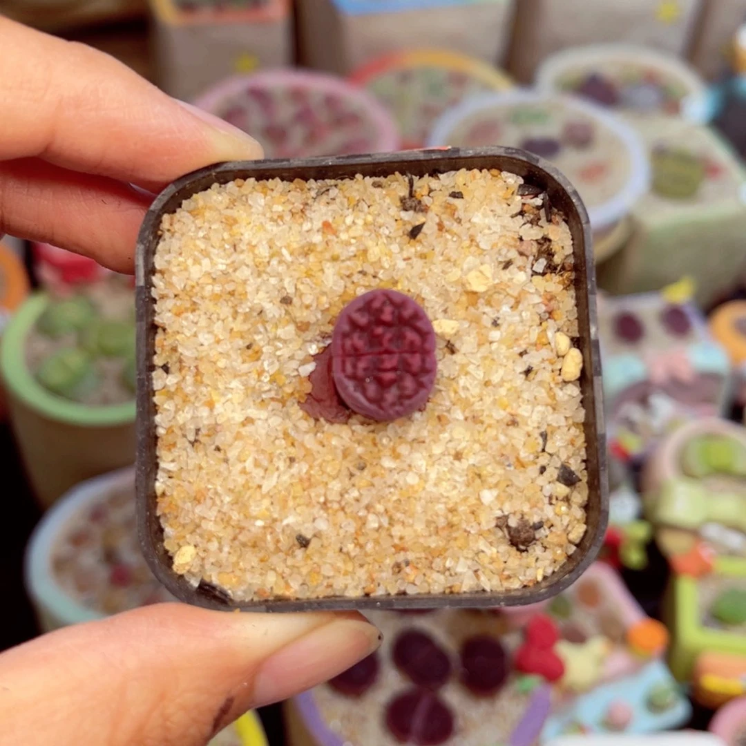 977。57857968877778888