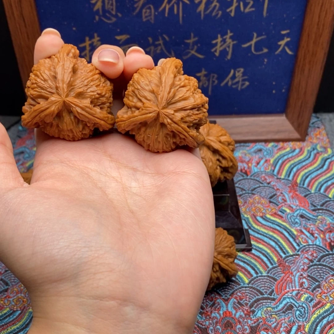 【闪购商品】爱**，白狮