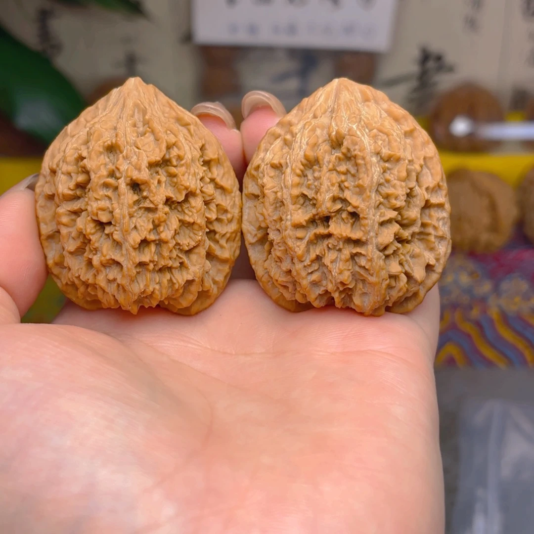 满天星狮子头四十一尺