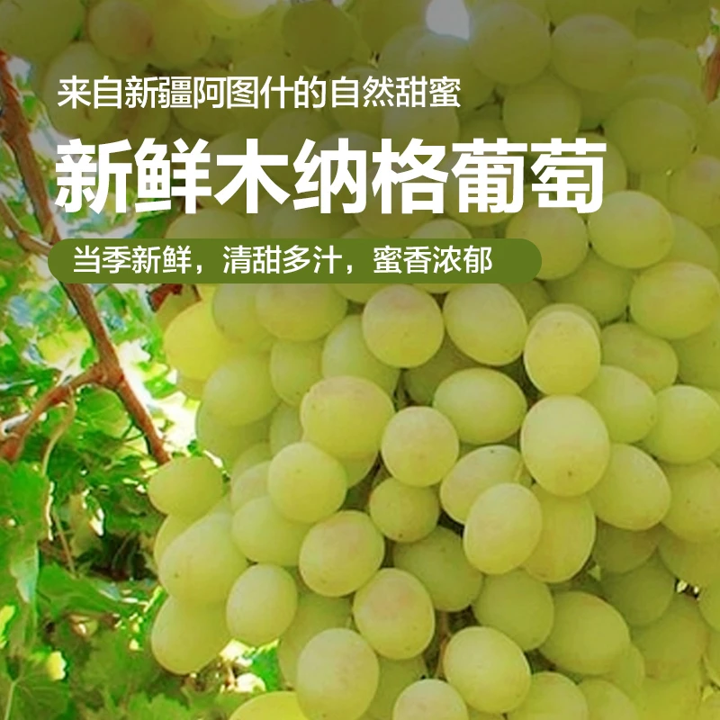 【顺丰次日达】正宗新疆阿图什木纳格葡萄净重4斤冰川翡翠葡萄多仓发货新疆维吾尔自治区