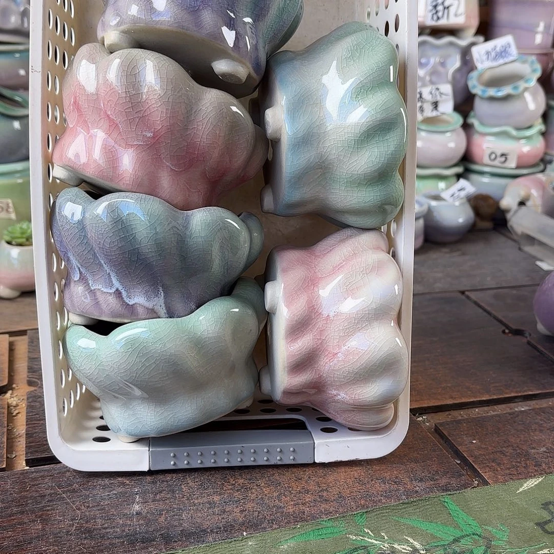 量货/8口高6深浅搭配发4