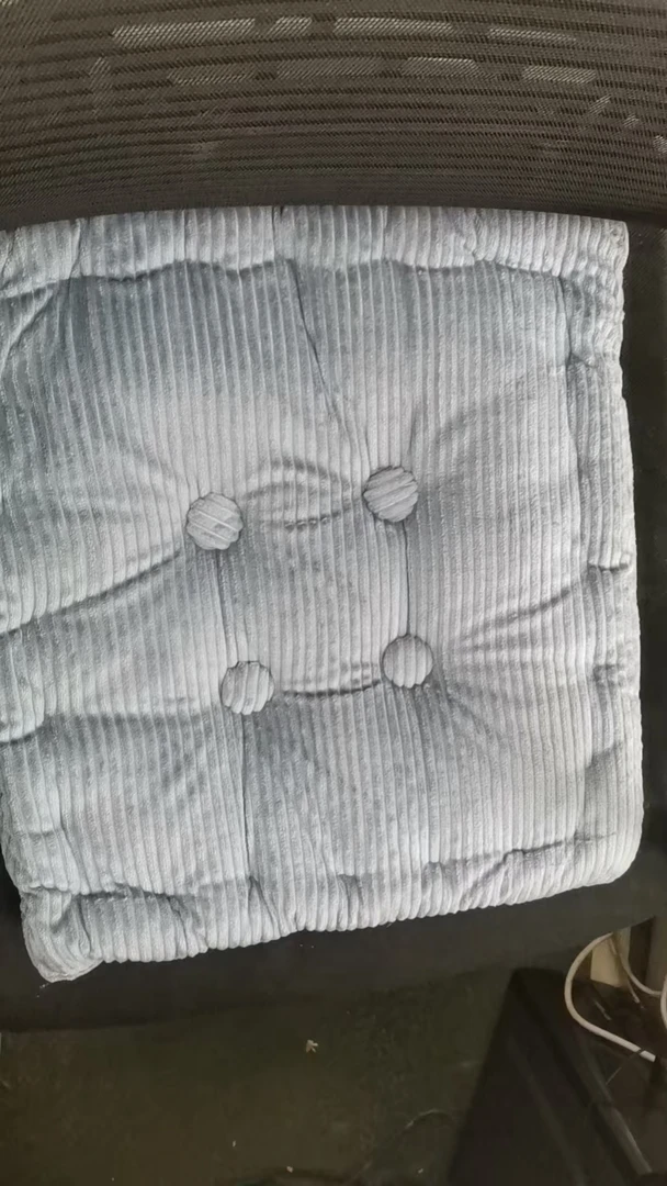 浅蓝色玉米坐垫40*40发1个