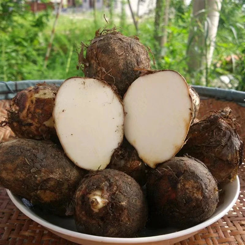 2025年新鲜毛芋头 适合粉蒸 煲汤 剁椒 粉 糯 香  3斤 5斤 包邮