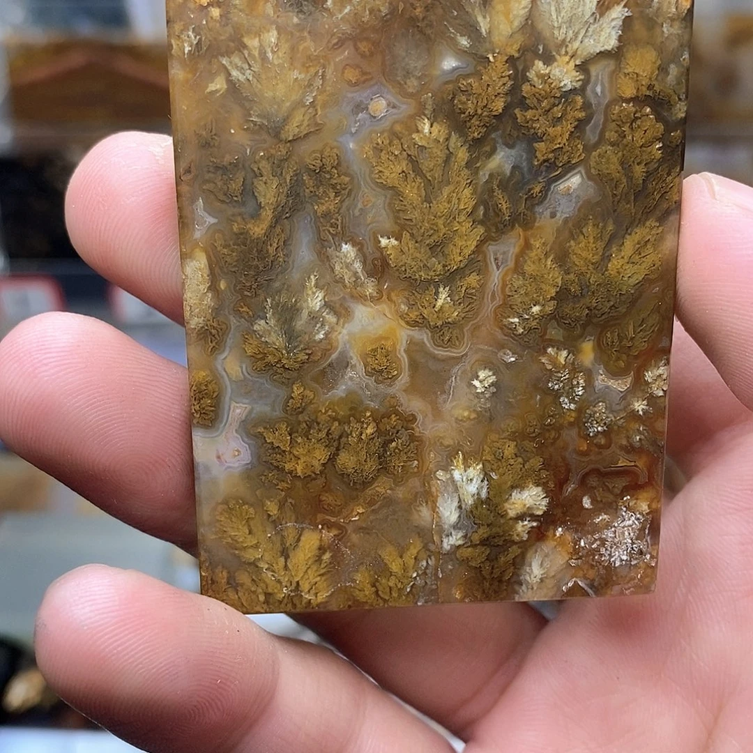 ༺***༻玛瑙/玉髓未镶嵌珠宝半成品