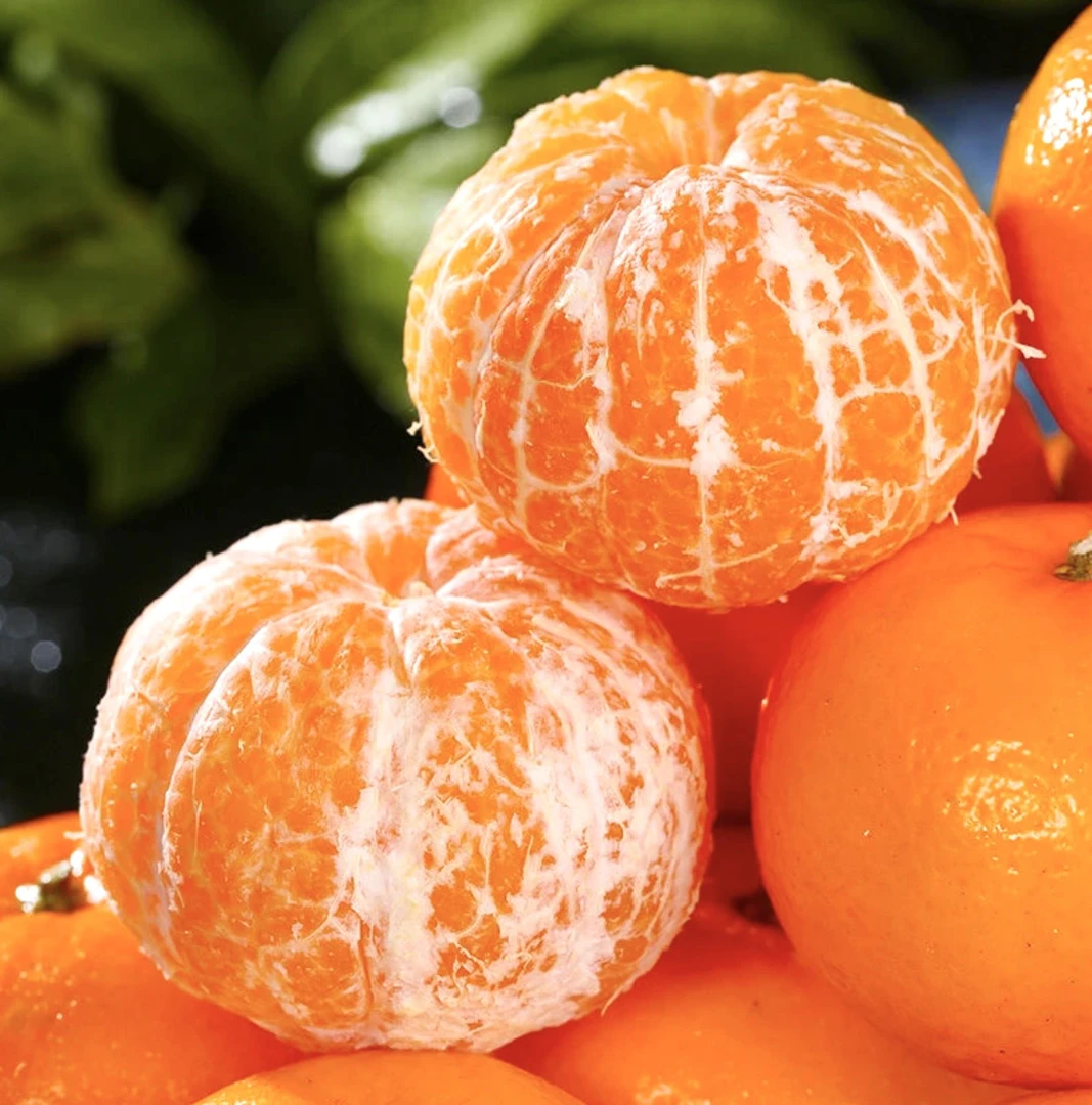 自家正宗广西武鸣沃柑新鲜现摘现发水果应季产地直发