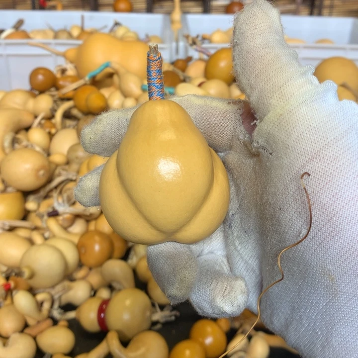 八宝鱼也很美味呀吃货