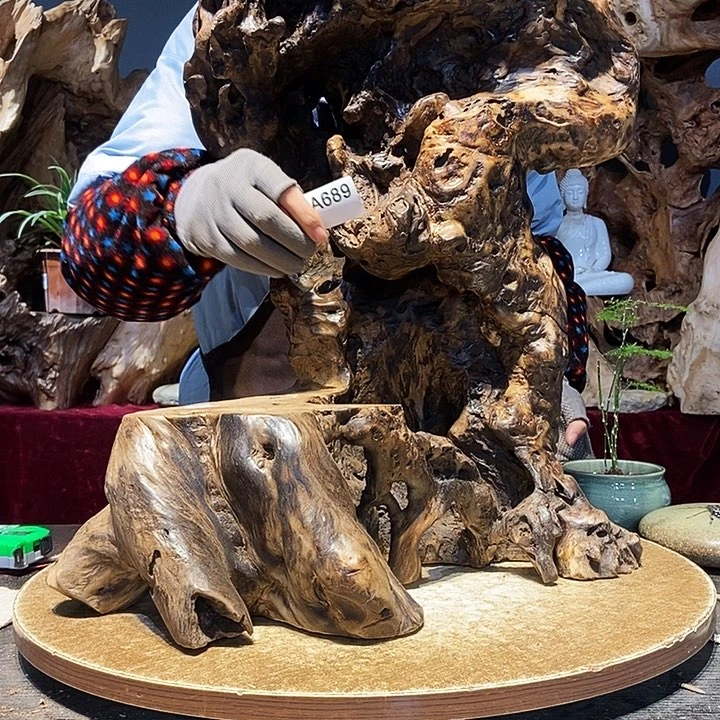 用****6689株木随行的小根艺