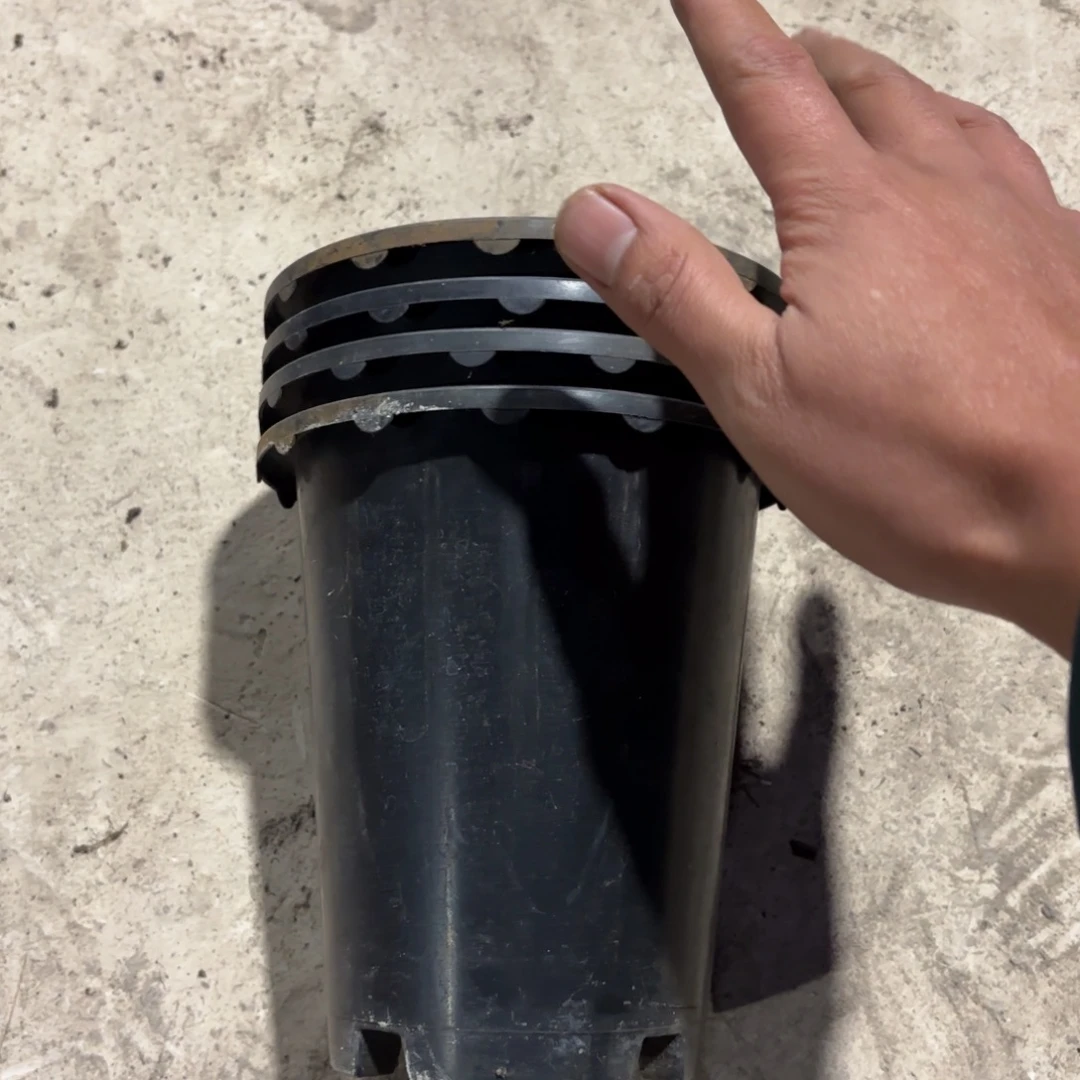 兰花盆15✖️16发22个