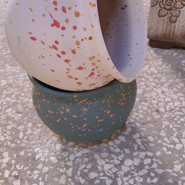 正品19/16两个处理