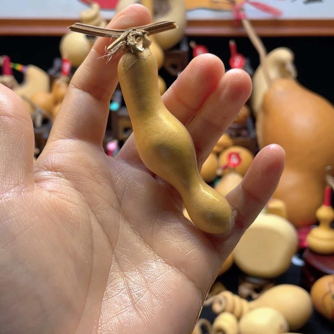 贝*大自然的秘密第十节第