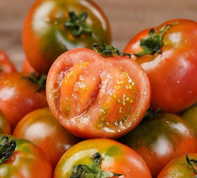 辽宁盘锦新鲜酸甜碱地铁皮西红柿 草莓柿子 【精品】产地现摘