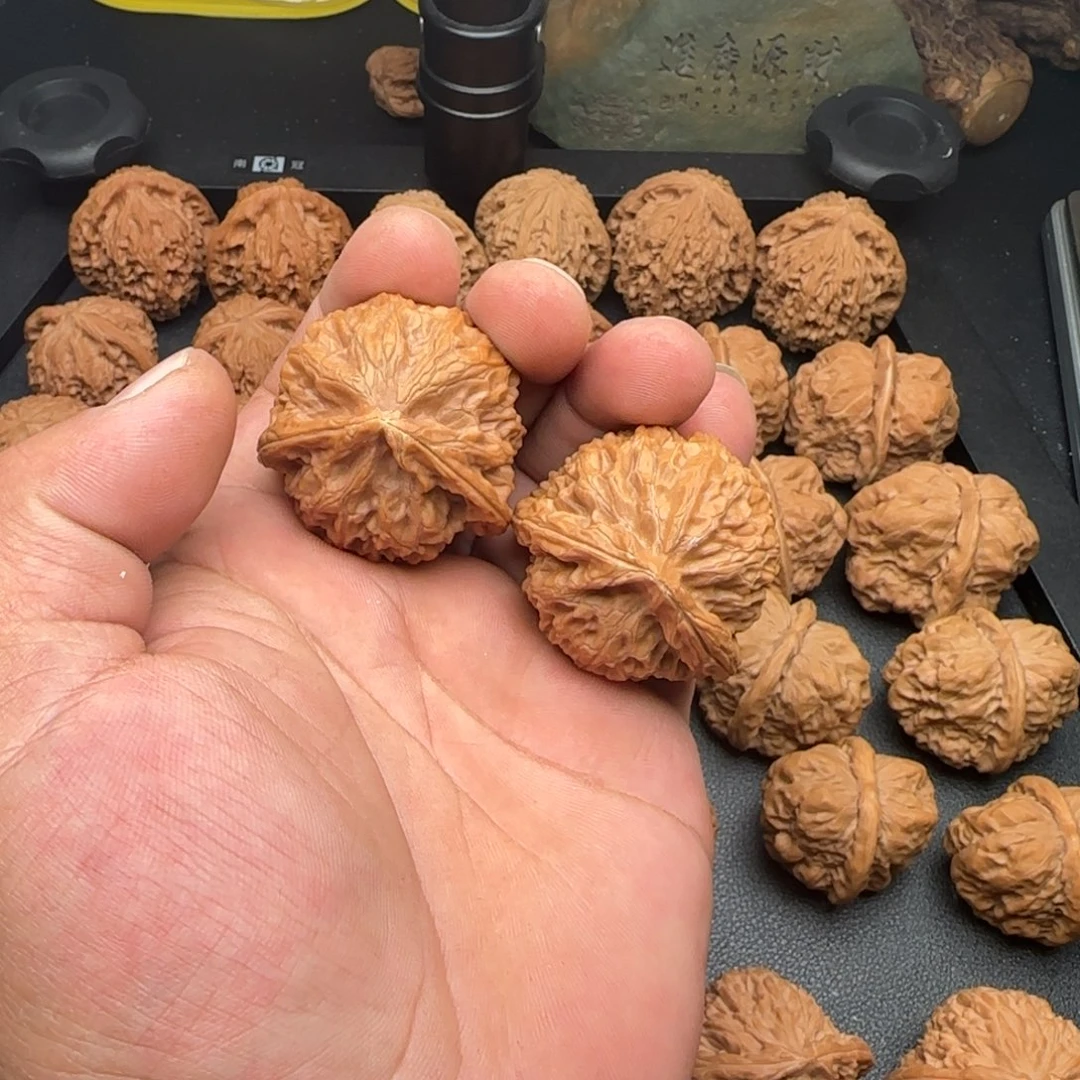40尺宫灯飞蛇尖有修