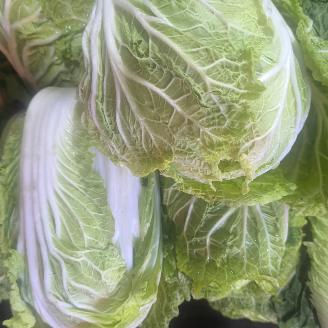 新鲜大白菜。