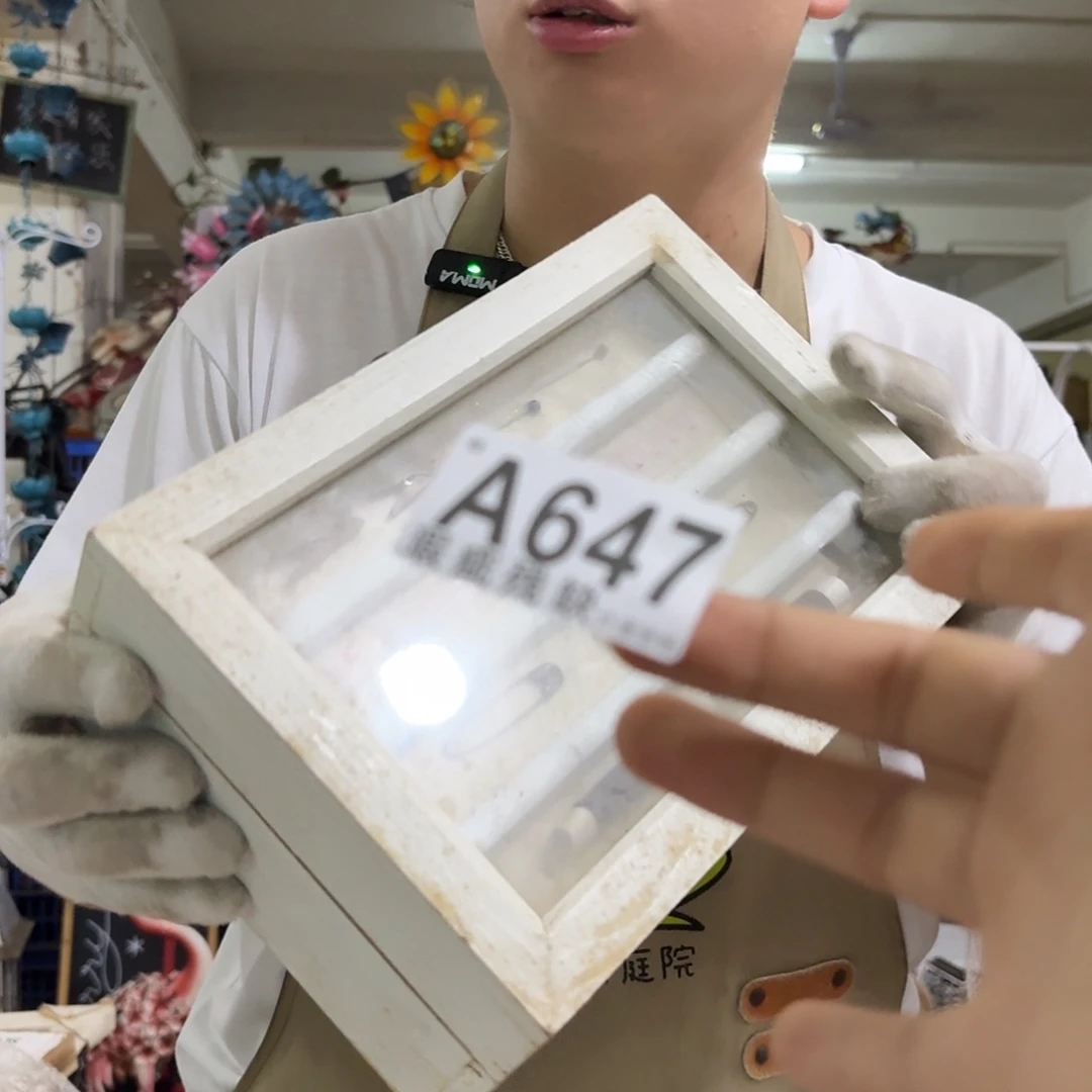 核桃木/黑胡桃（胡桃木）