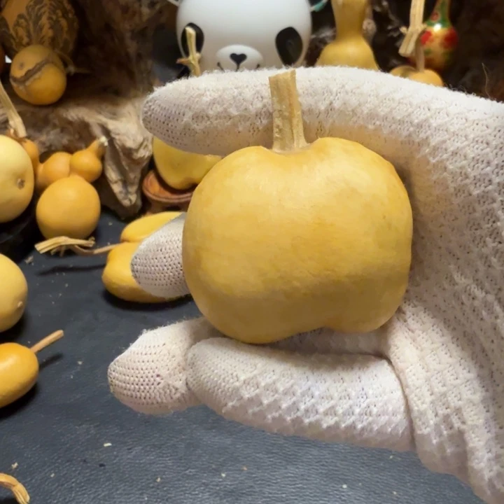 啾***子666666666666666666