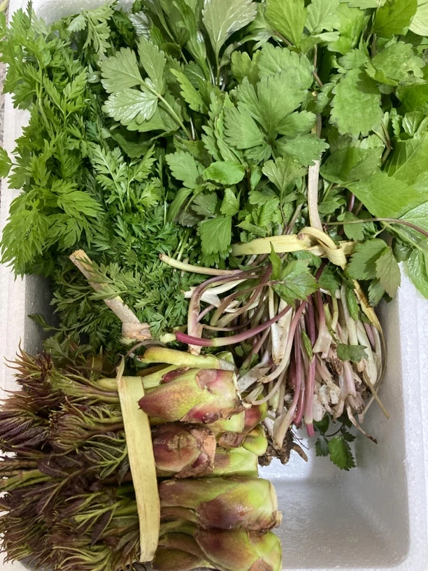 东北野生山菜大礼包