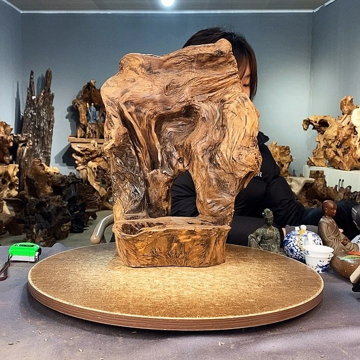 茶盏唐*518株木的随行的根艺