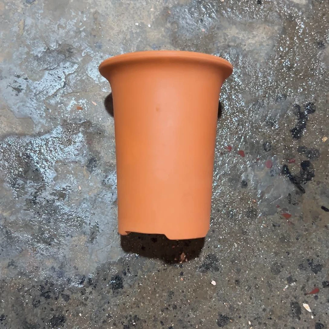 观兰13口16高1个【微瑕】