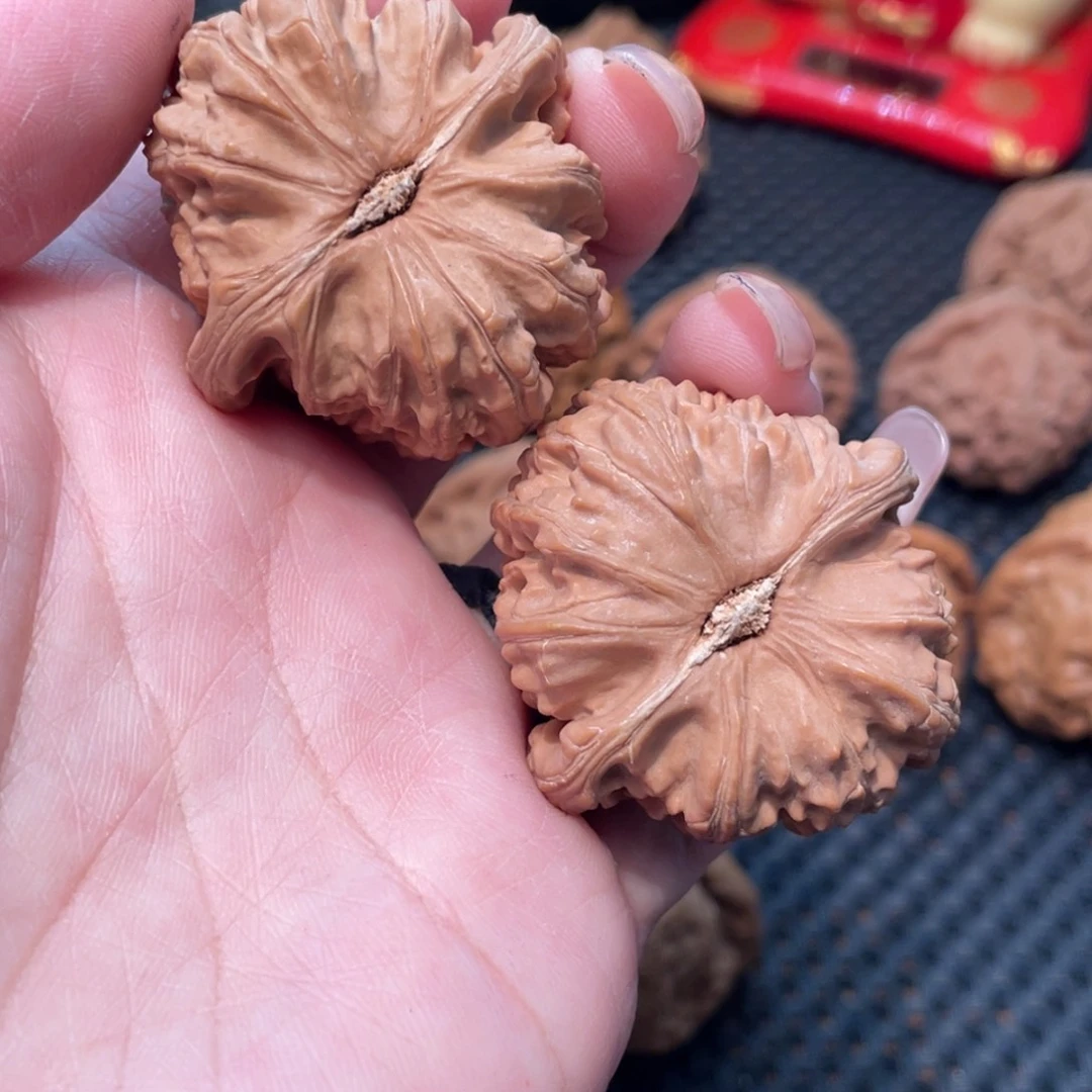 文玩核桃把件白狮子4.0全品