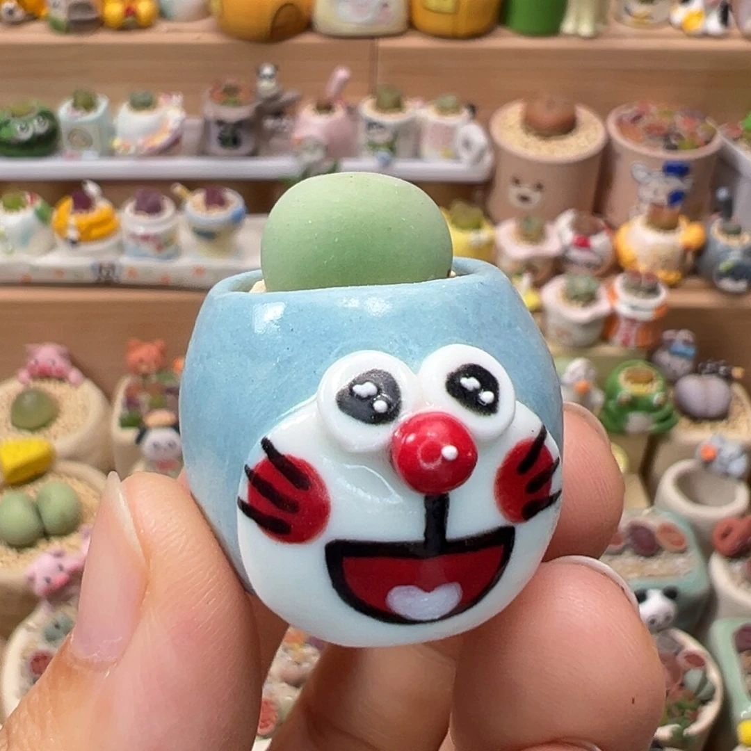 多肉植物115号拇指盆