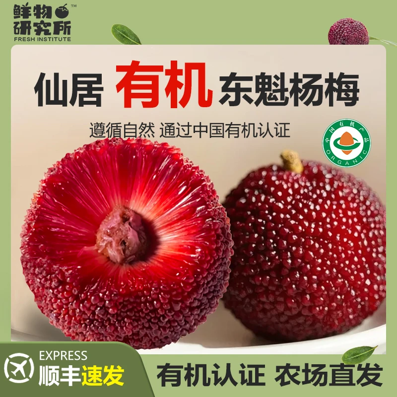 【11A 仙居东魁杨梅】80颗杨梅单果30-35g果王新鲜孕妇应季水果礼盒