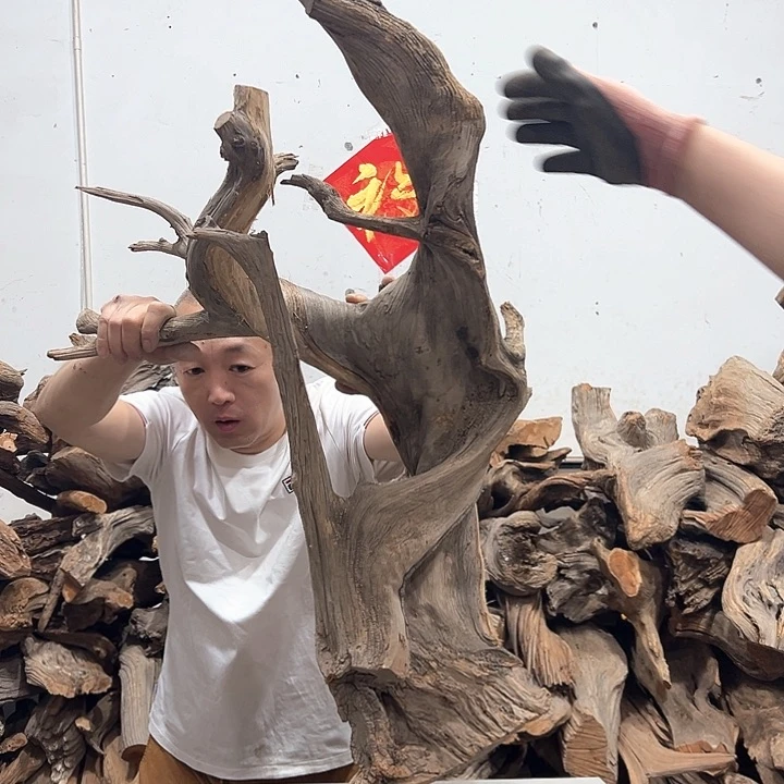 柏木神****？我们的生活也是如此的丰富多彩啊哈哈
