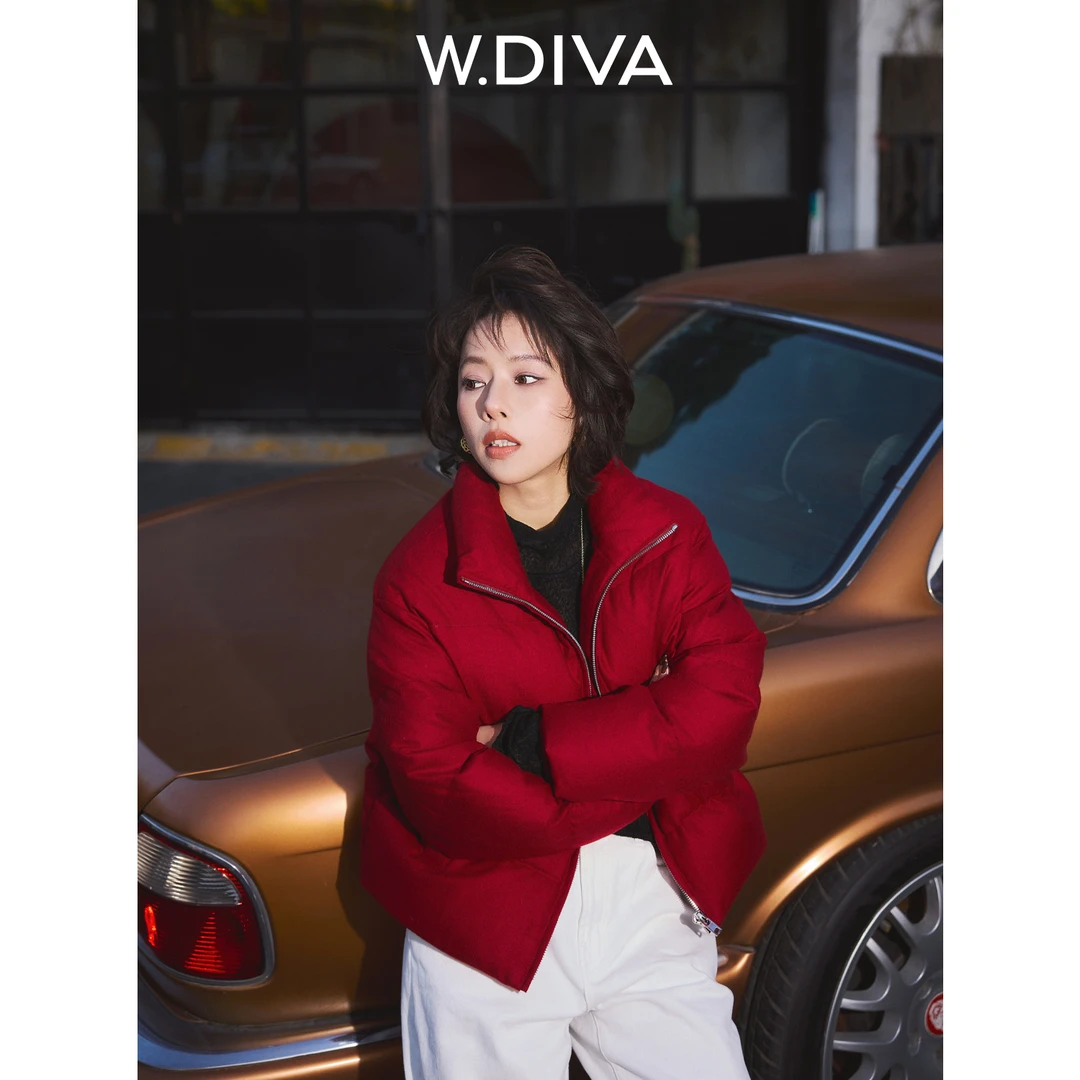 W.Diva【柔糯】精纺羊绒皖西大白鹅绒暖冬立领鹅绒服54C023174