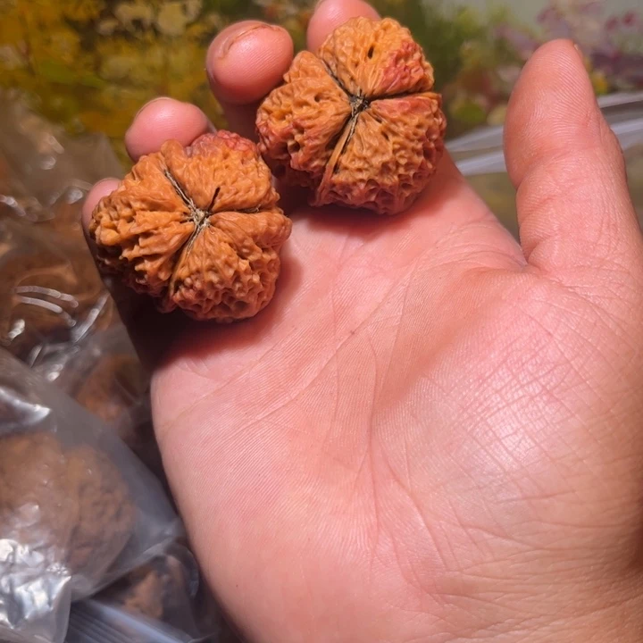 文玩核桃吊坠滇西29