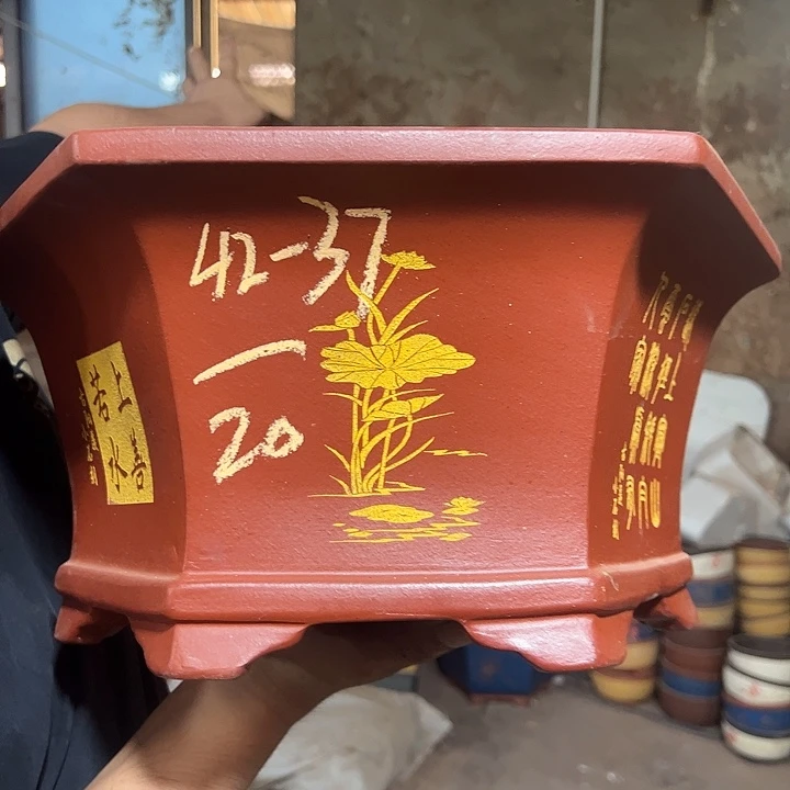 紫砂花盆紫砂花盆
