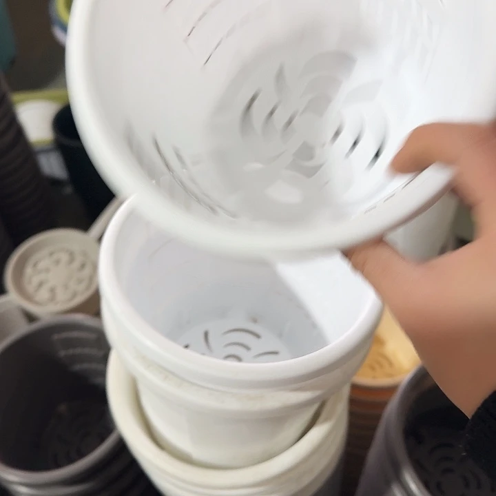 测19口径6个无托白色瑕疵