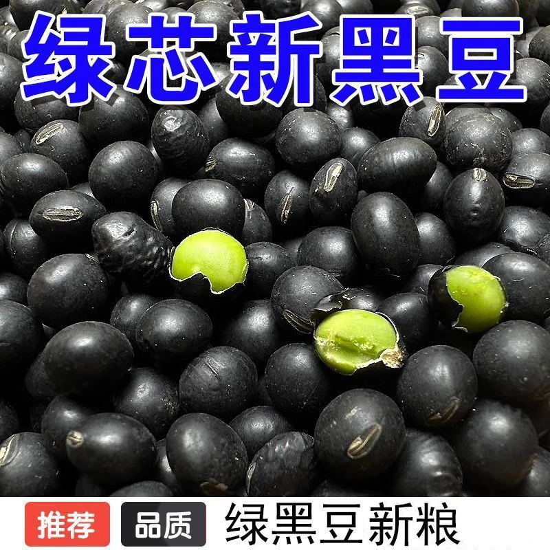 东北正宗生绿芯黑豆批发黑小豆黑豆绿心发豆芽黑豆100%纯黑豆