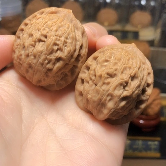 野生小众:木灵珠