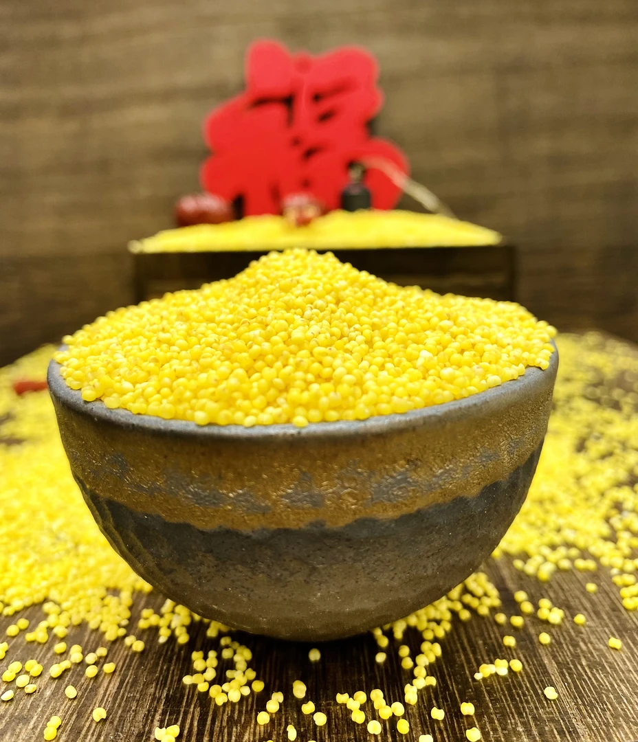 2025年新鲜马庙镇春播金谷黄小米月子米