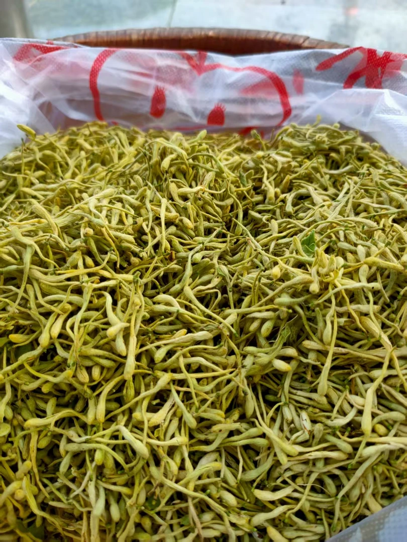 伏牛山....金银花