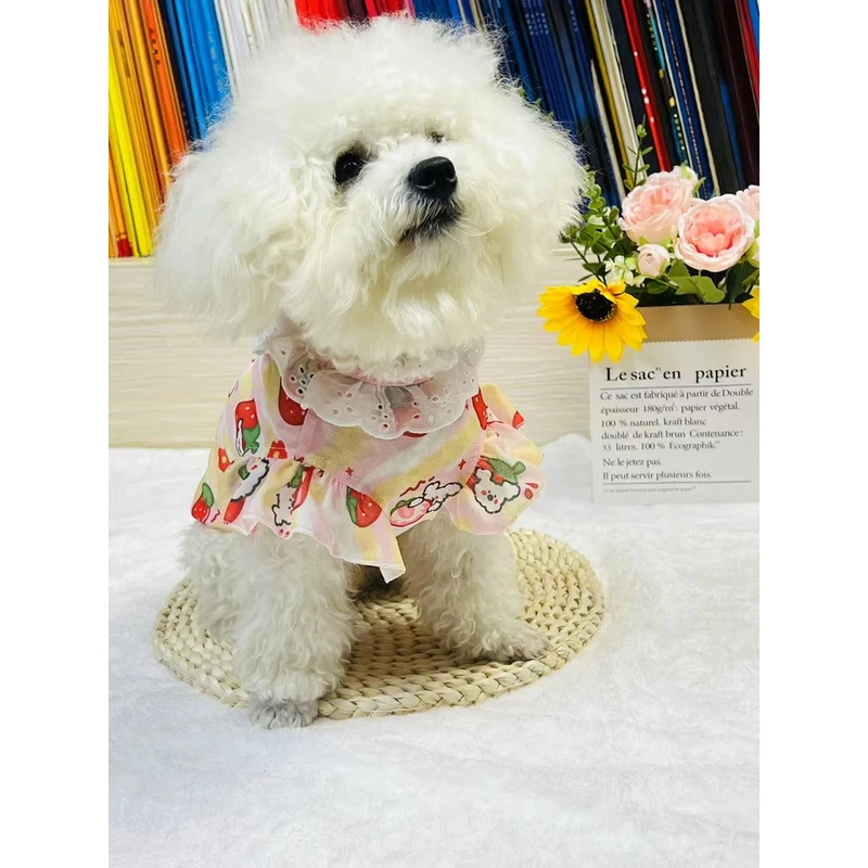 嬉皮狗夏季猫猫狗狗小中大型犬网纱防飞毛防蚊虫飞袖背心衣服