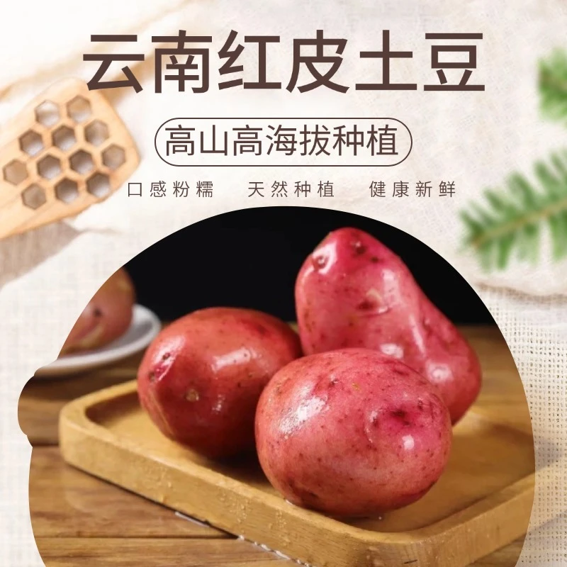 【老品种】云南红皮黄心新鲜现挖露天种植土豆洋芋马铃薯高海拔种植