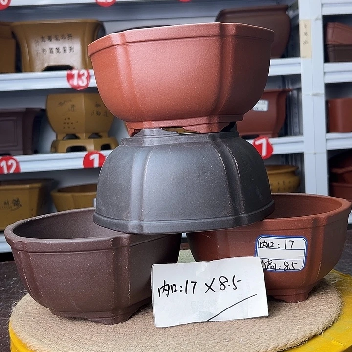 紫砂花盆蛇年大吉