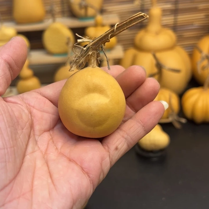 森**乀葫芦葫芦葫芦葫芦葫芦