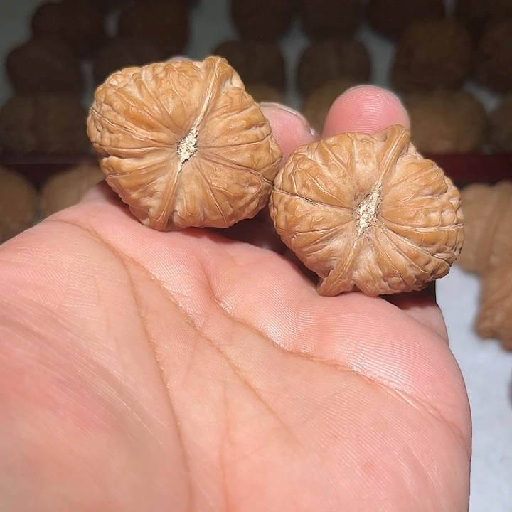 木40南瓜敦。