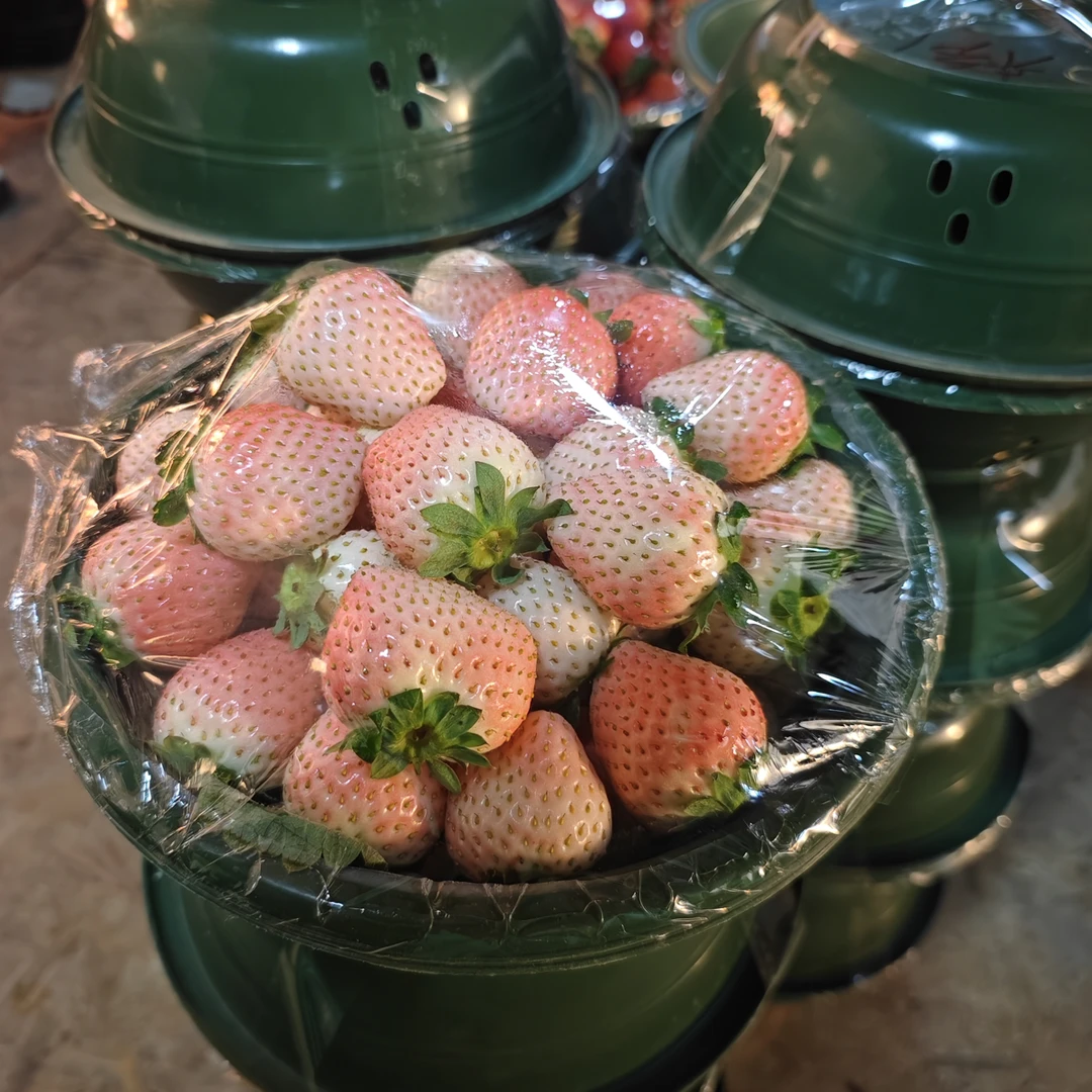 （兰州拍）陕西水蜜桃草莓3斤一盆