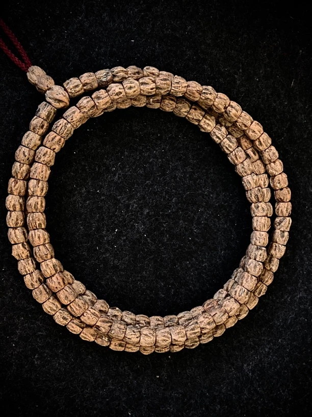 百香籽红芽藏切尸陀林尺寸6.3+