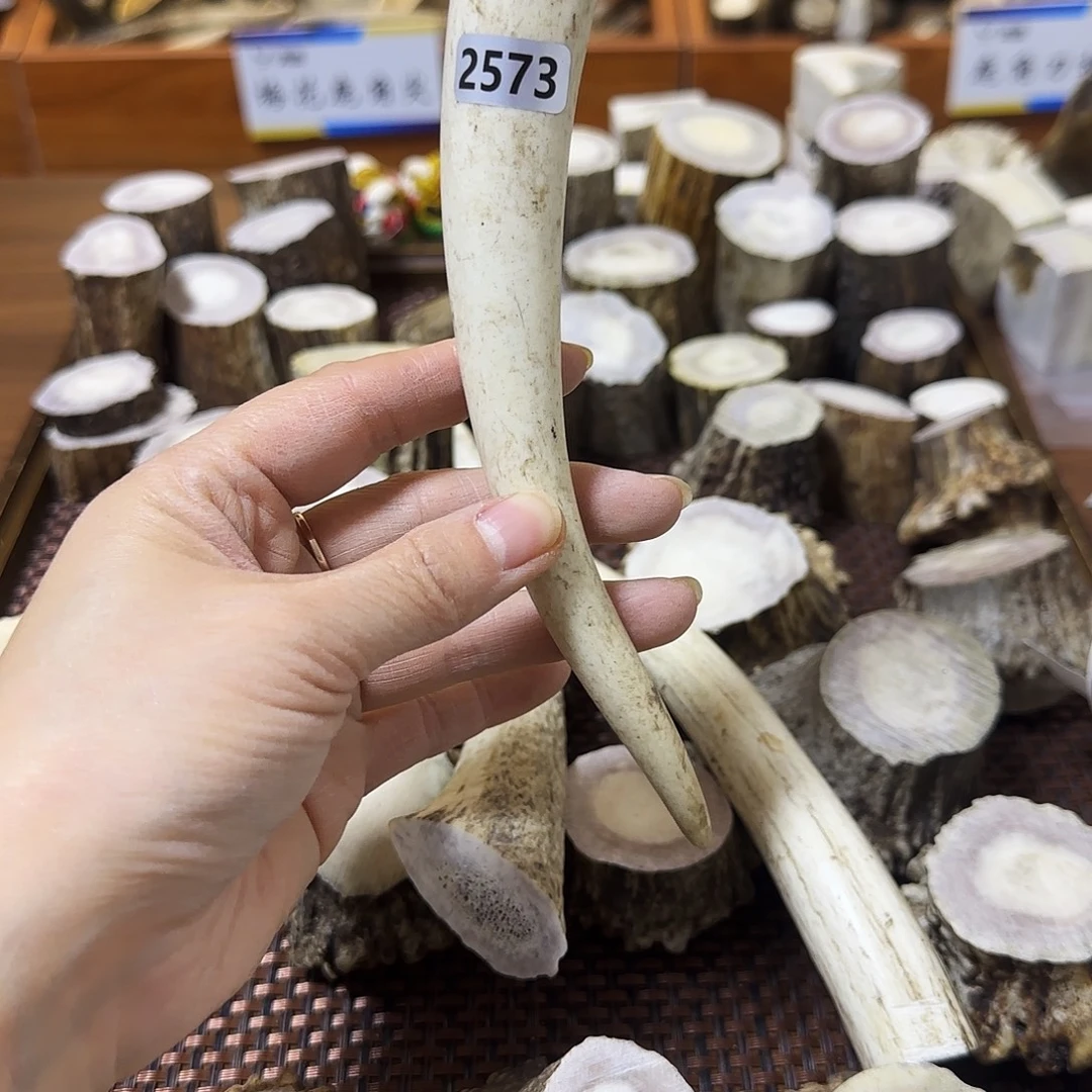 鹿骨手串/手链2573梅花鹿角尖