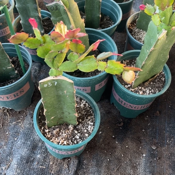 57号037，11111111111