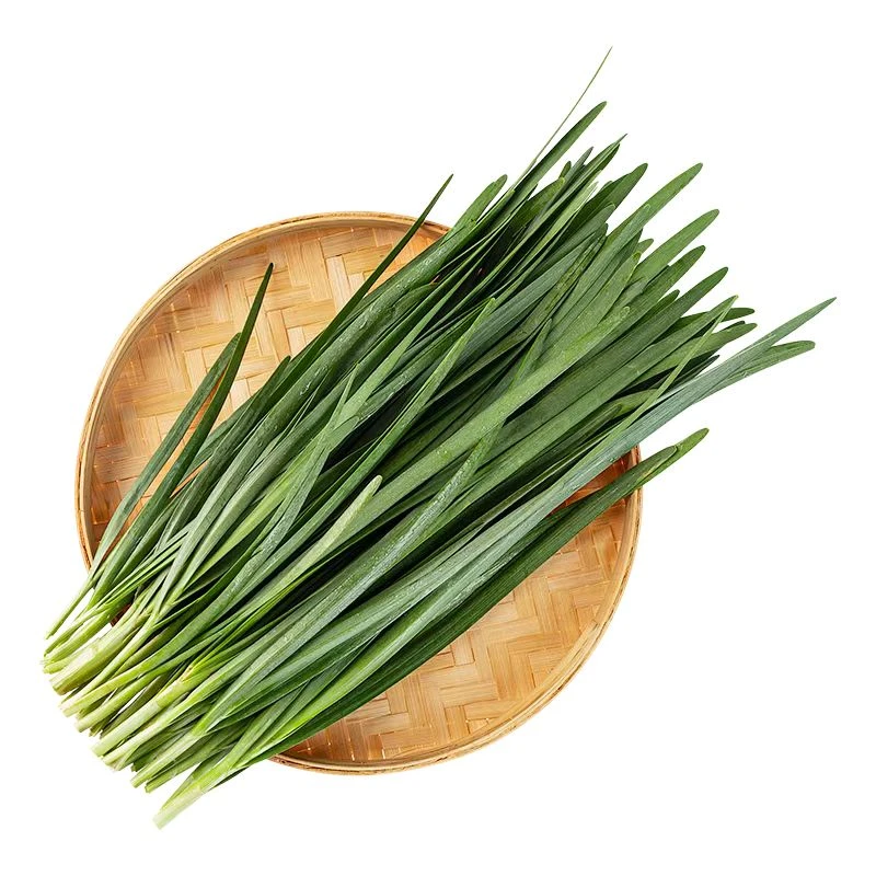 新鲜韭菜500g 韭菜